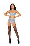Dreamgirl Artic Blue Lace Bra Garter Belt & G-String Set Lingerie Dreamgirl 