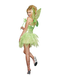 Dreamgirl Fairy-Licious Women's Costume Dreamgirl 