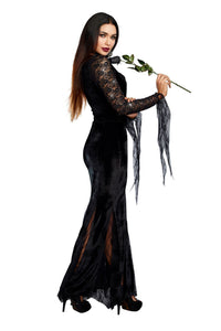 Dreamgirl Frightfully Beautiful Women's Costume Dreamgirl 