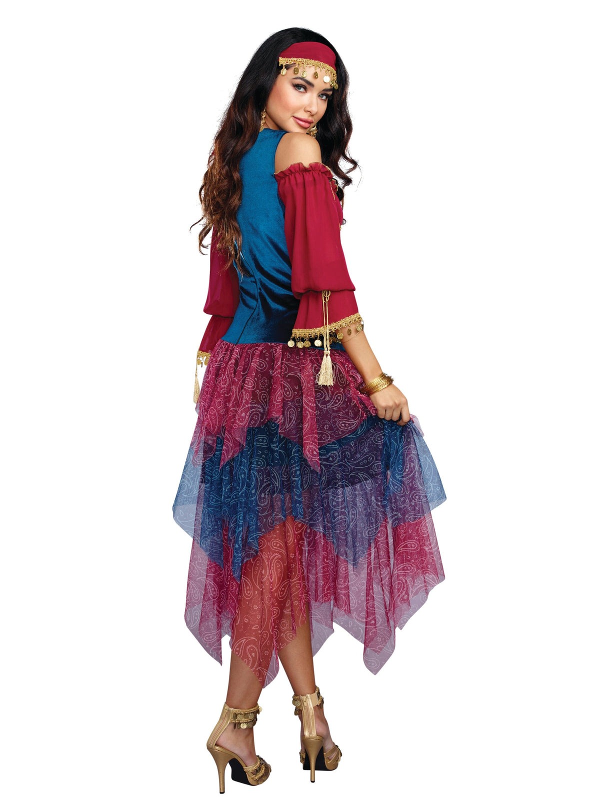 Dreamgirl Gypsy Women's Costume Dreamgirl 