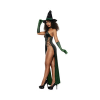 Dreamgirl Women's Emerald Echantress Costume Costume Dreamgirl 