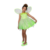 Dreamkids Twinkling Fairy Costume Dreamgirl 