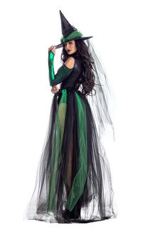 Party King Wicked Emerald Witch Costumes PartyKing
