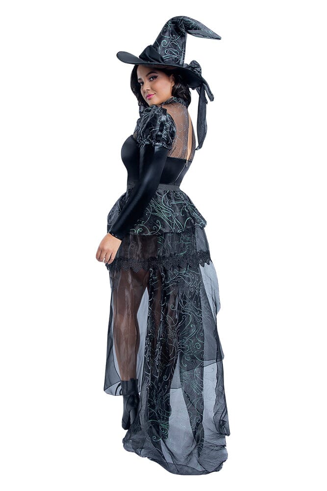 Starline Plus Wicked Witch Costumes Starline 