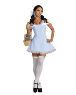Blue Gingham Dress Costume Accessory Dreamgirl Costume 