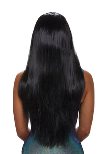 Dreamgirl Long Straight Wig Wig Dreamgirl 