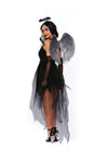 Fallen Angel Women's Costume Dreamgirl 
