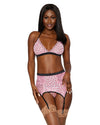 Flocked Heart Mesh and Lace 3 Piece Garter Set LINGERIE GARTER SLIP Dreamgirl International 