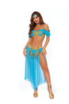 Genie's Delight Women's Costume Dreamgirl 