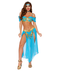 Genie's Delight Women's Costume Dreamgirl 