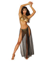Gypsy-Themed Gold Lamé Bralette and Skirt Bedroom Costume Bedroom Costume Dreamgirl International 