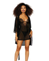 Mesh Chemise & Robe Set with Matching G-String Robe Dreamgirl International 