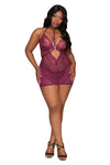 Plus Size Contemporary Lace & Mesh Chemise Set with Halter Neckline Chemise Dreamgirl International 