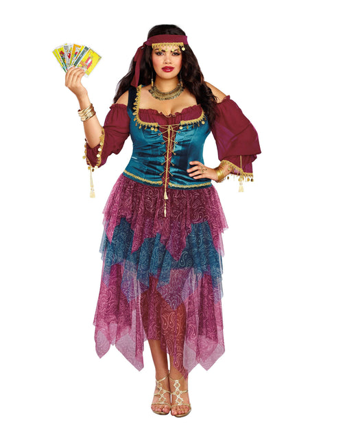 Plus Size Gypsy Women's Costume Dreamgirl Costume 