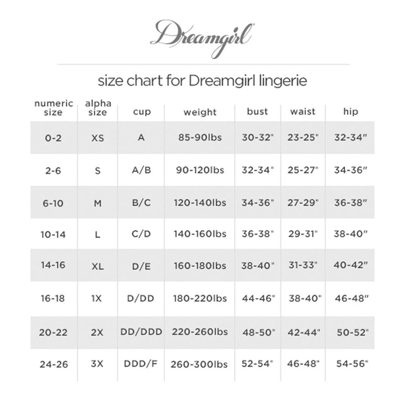 Striped Stretch Lace Underwire Garter Slip and G-String Set Garter Slip Dreamgirl International 