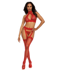 Three-Piece Fishnet & Lace Hosiery Bodystocking Set with Snap Neck & Tie Back Closure Bodystocking Dreamgirl International 